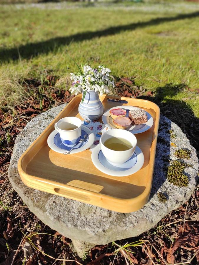 Gothem Viby Bed&Breakfast Slite エクステリア 写真